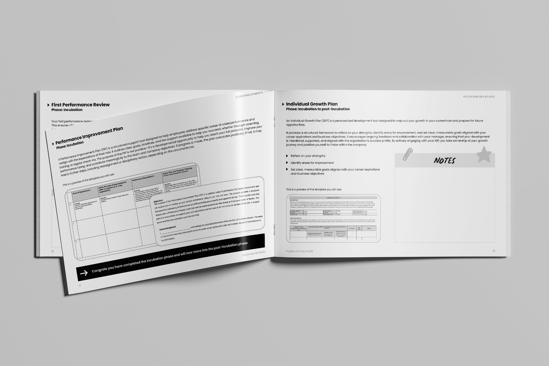 People Journey Programme — image 4